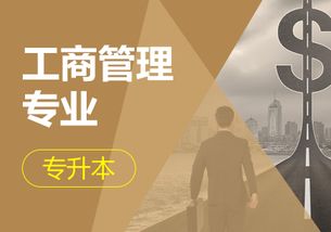 成人高考选电子商务专业